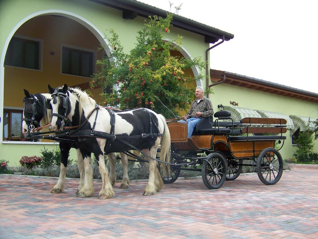 Agriturismo Nonna Rina San Liberale Zewnętrze zdjęcie