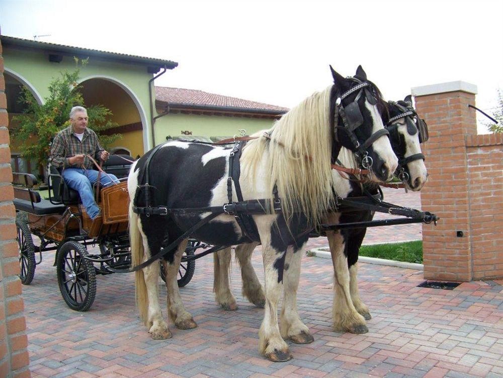 Agriturismo Nonna Rina San Liberale Zewnętrze zdjęcie