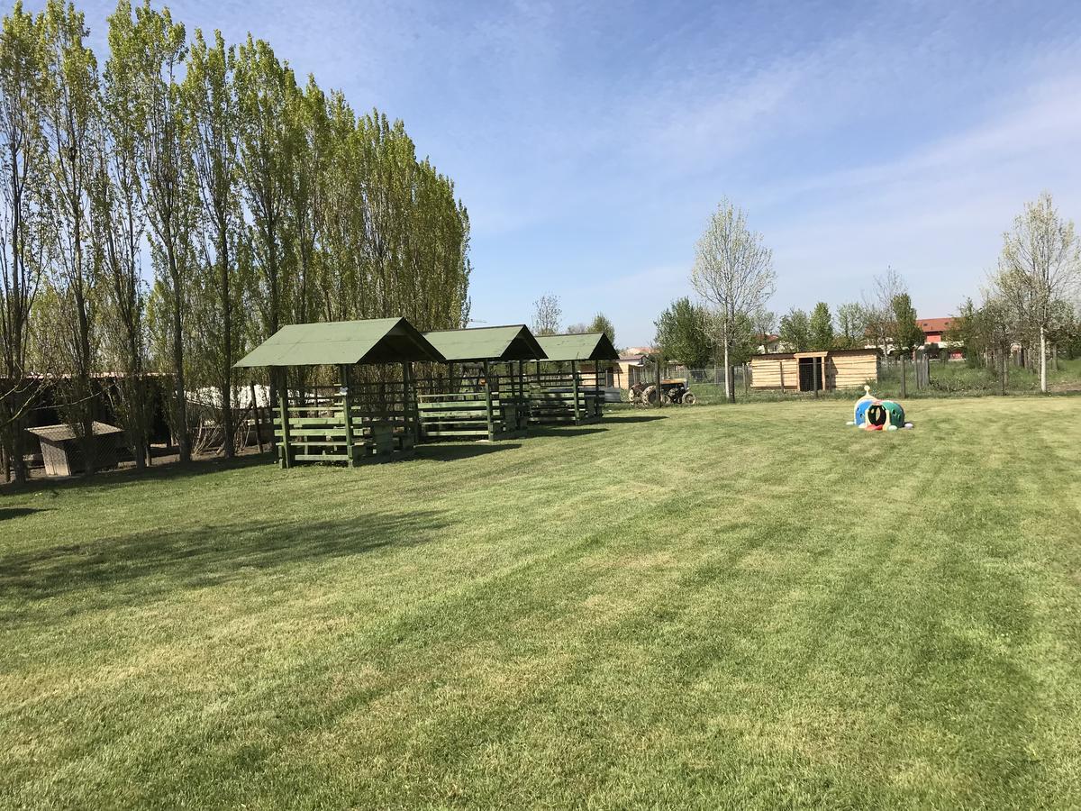 Agriturismo Nonna Rina San Liberale Zewnętrze zdjęcie