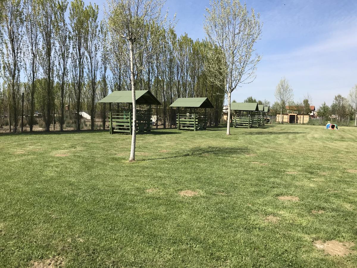 Agriturismo Nonna Rina San Liberale Zewnętrze zdjęcie